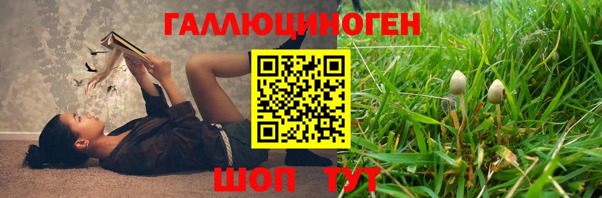 Гатчина  Галлюциногенные грибы Psilocybe  хочу   Псилоцибиновые грибы прущие грибы  Вход с VPN 