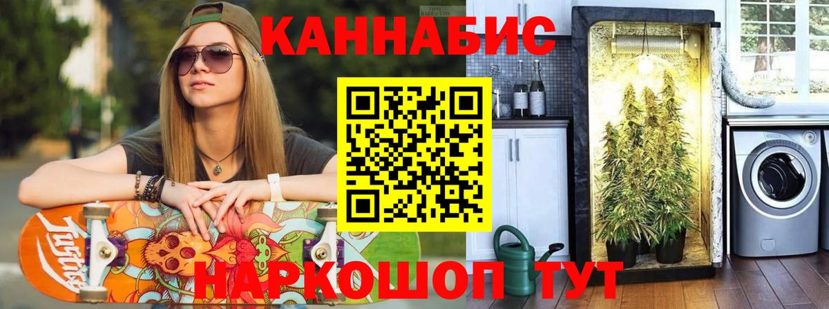 Каннабис марихуана  Вход с VPN  Бошки марихуана план  МАРИХУАНА семена  МАРИХУАНА планчик  Гатчина 